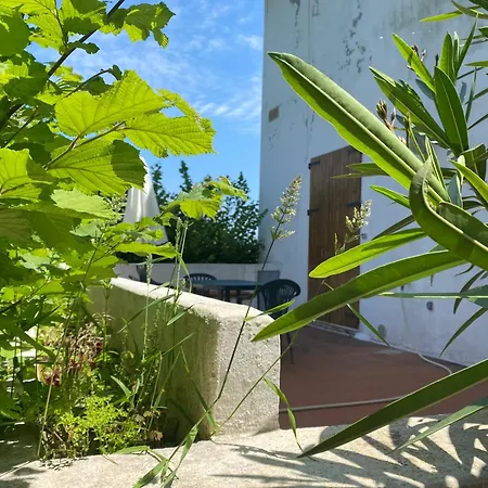 Piano Terra Con Corte Privata E Posto Auto 450 Mt Mare