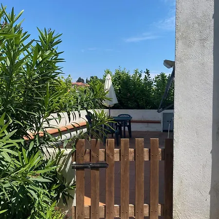 Piano Terra Con Corte Privata E Posto Auto 450 Mt Mare Apartment *